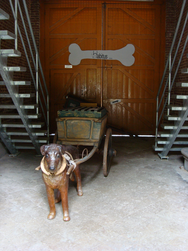 Houden van honden